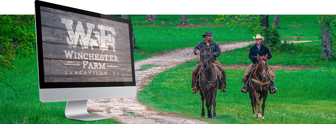 Winchester Farm Case Study